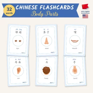 Chinese Body Parts Flashcards — 32 Words (PDF)