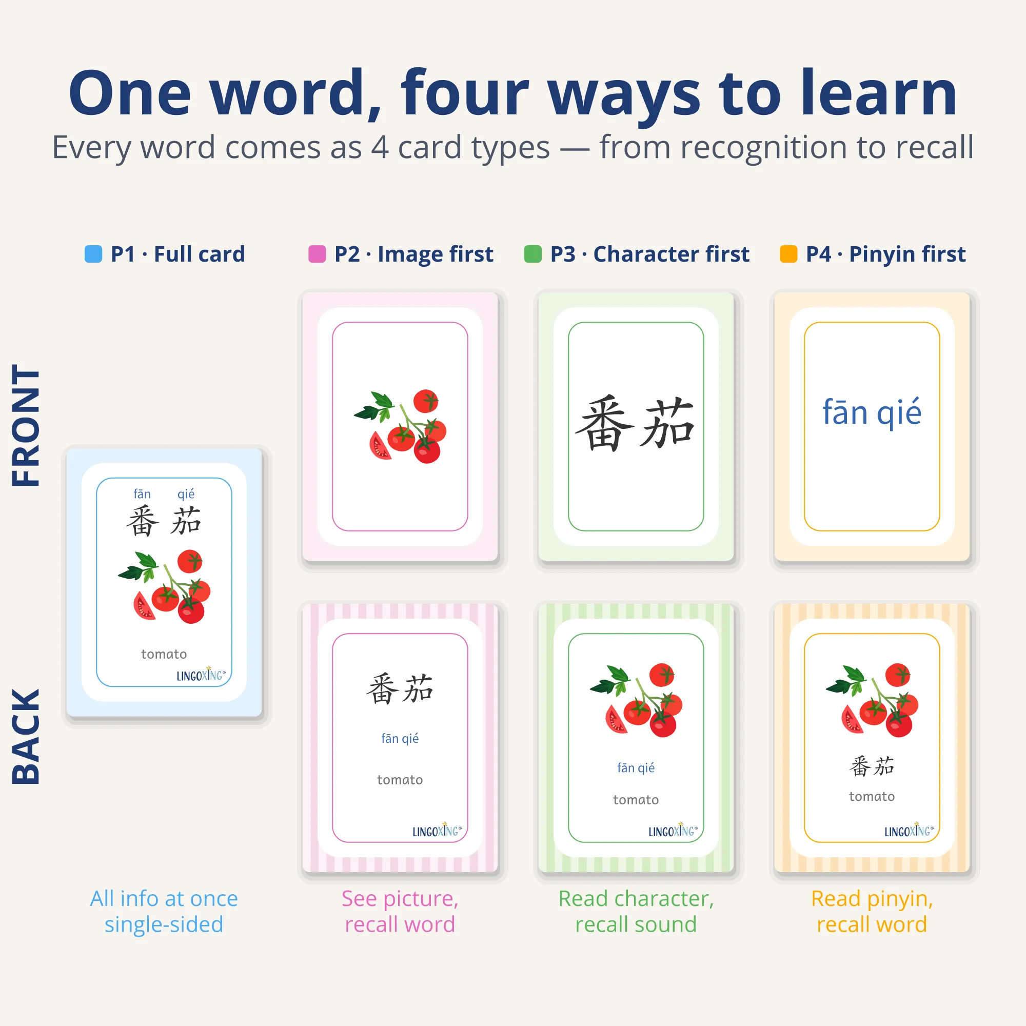 Chinese Vegetable Flashcards — 24 Words (PDF) — card types