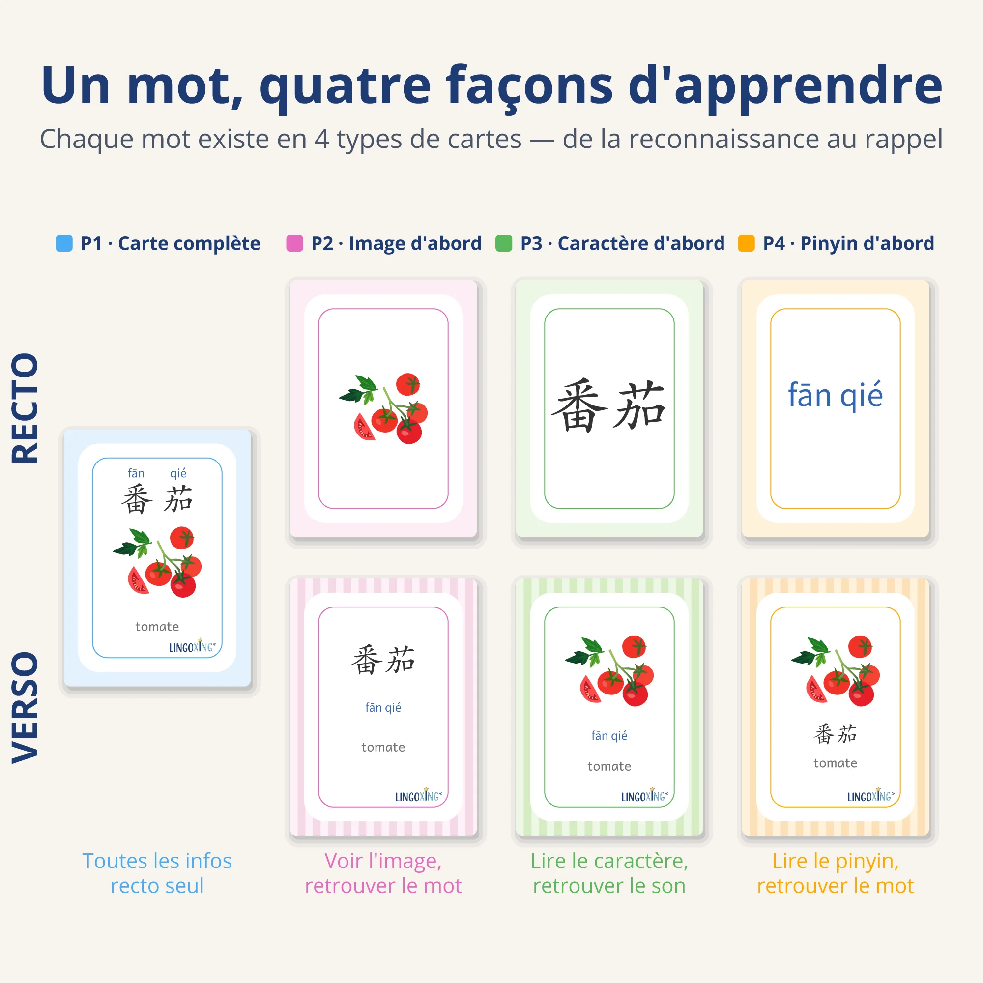 Les légumes en chinois — 24 mots (PDF) — card types