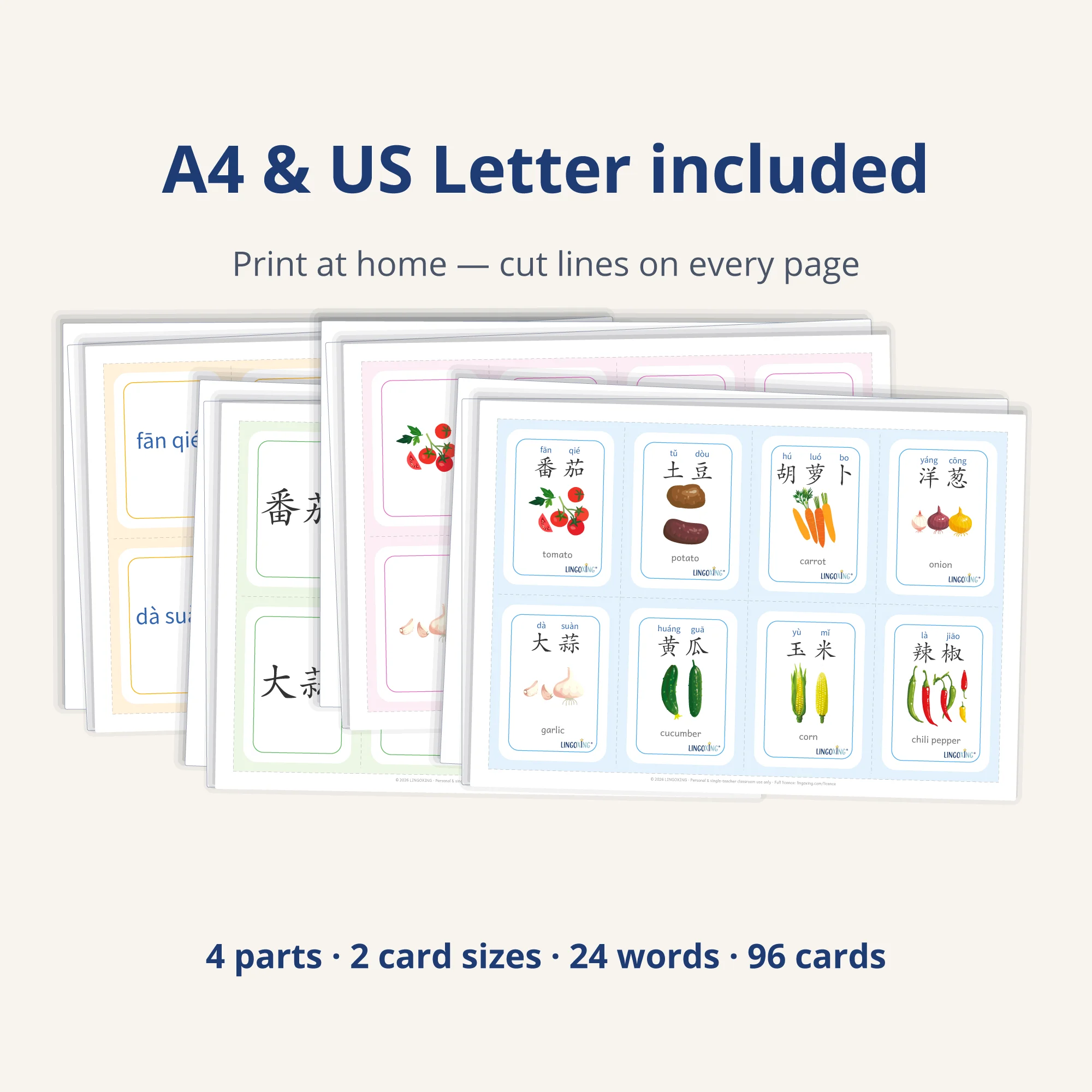 Chinese Vegetable Flashcards — 24 Words (PDF) — printable pages